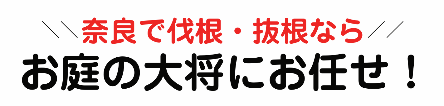 ޗǂŔE͂̑叫ɂCI