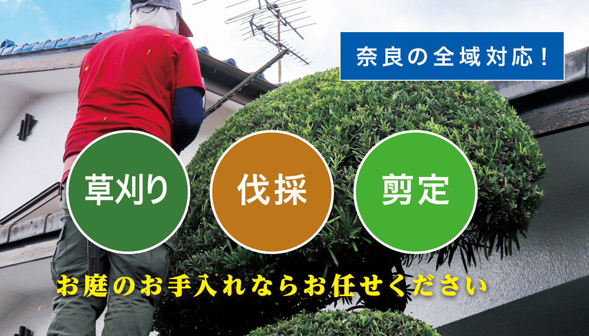大和高田市で草刈り・剪定・伐採なら「お庭の大将」