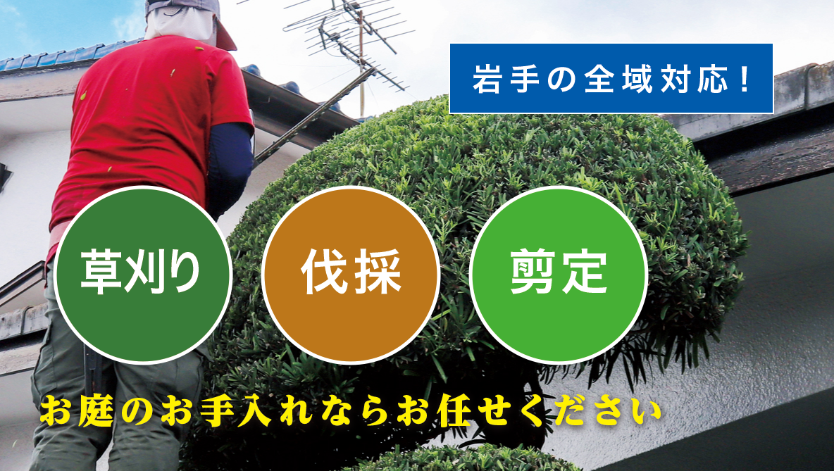 ����̑叫���X���I�[�v�����܂����I