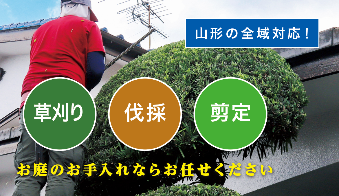 ����̑叫�R�`�X���I�[�v�����܂����I