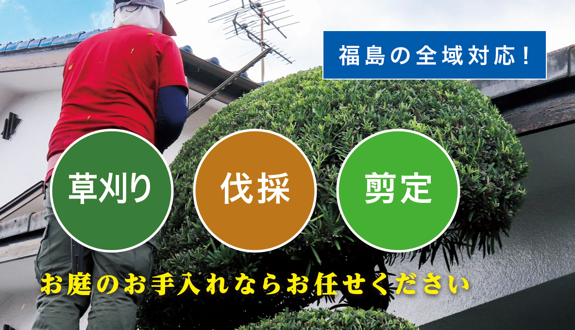 ����̑叫�����X���I�[�v�����܂����I