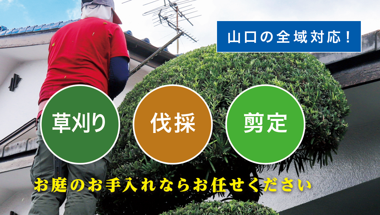 ����̑叫�R���X���I�[�v�����܂����I