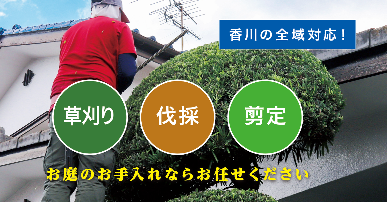 ����̑叫����X���I�[�v�����܂����I