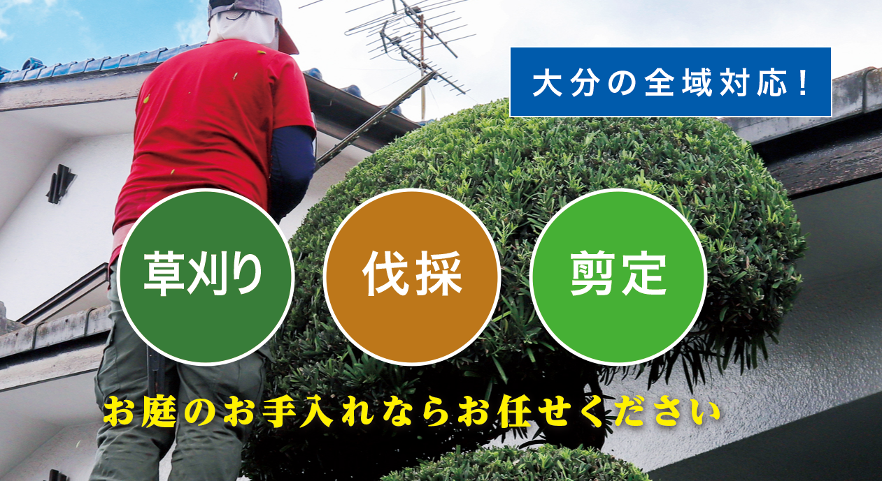 ����̑叫�啪�X���I�[�v�����܂����I