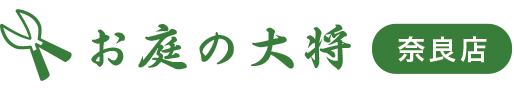 yޗǁzEÉE͂̑叫Ńv̎|I